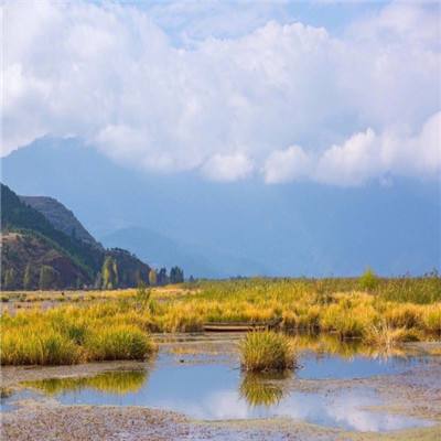 九游东方奇缘手游下载